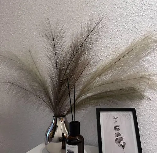 Cozy Mit Balkon I Wlan Apartamento Dresde