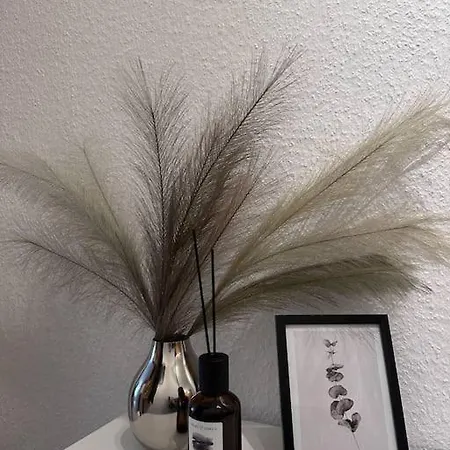 Cozy Mit Balkon I Wlan Apartamento Dresde